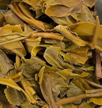 茶底信息图片1