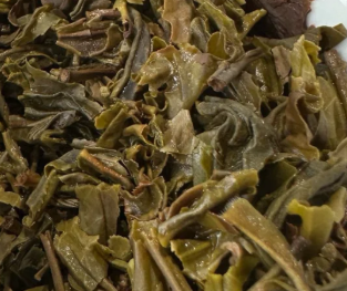 茶底信息图片1