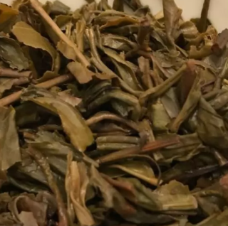 茶底信息图片1