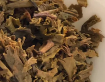茶底信息图片1