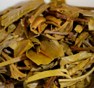 茶底信息图片1