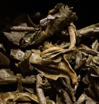 茶底信息图片1