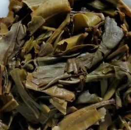 茶底信息图片1