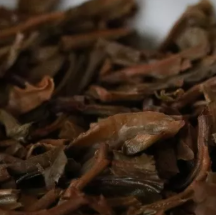 茶底信息图片1