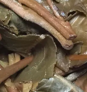 茶底信息图片1