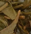 茶底信息图片1