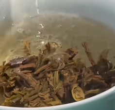 茶底信息图片1
