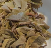 茶底信息图片1